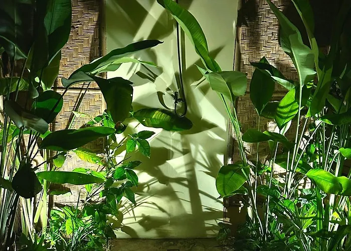 Hotel Beachfront Luxury Dome - Gamat Bay Toyapakeh